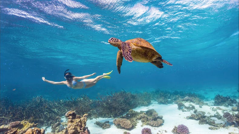 donde ver el color del año - coral bay australia