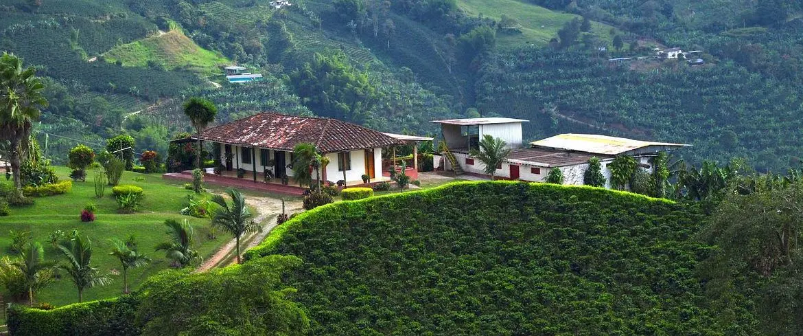 eje cafetero zona cafetera