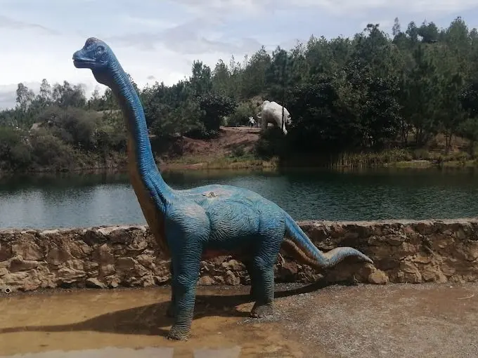 alquiler de carros en villa de leyva