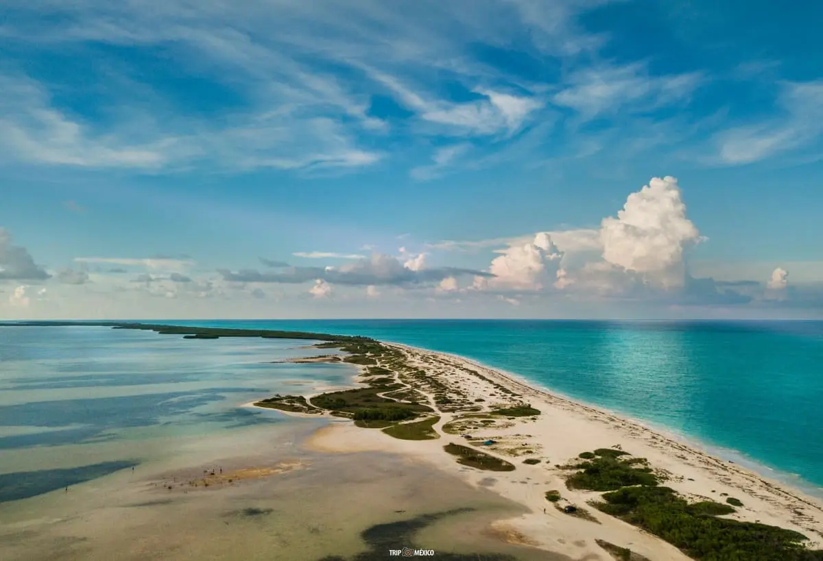 isla blanca alquiler de carro rivera maya
